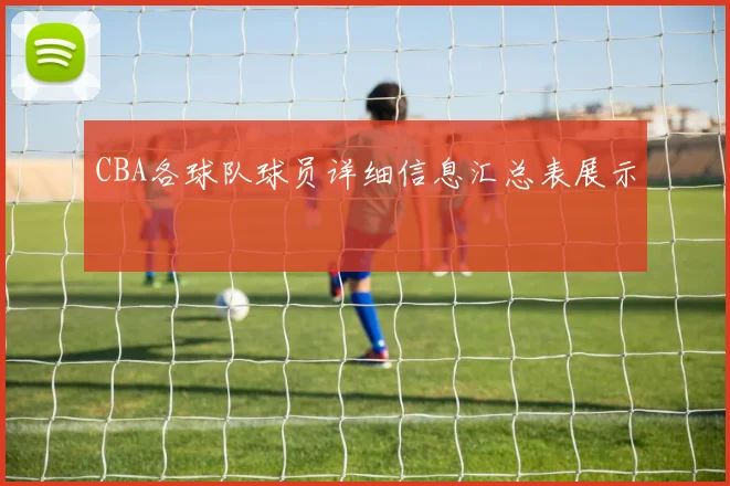 CBA各球队球员详细信息汇总表展示
