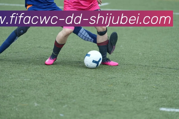 世界杯直播平台生态图