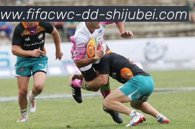 世界杯直播APP 封面图