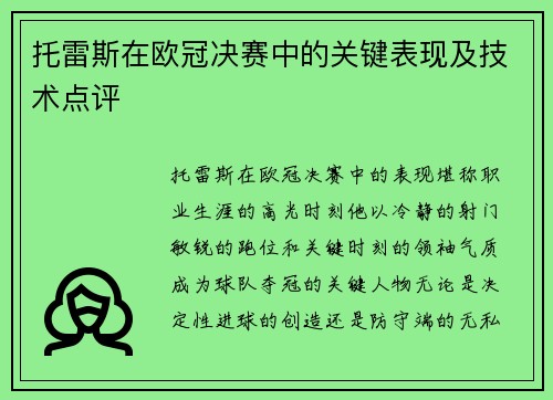 托雷斯在欧冠决赛中的关键表现及技术点评