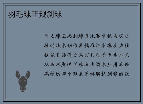 羽毛球正规刹球